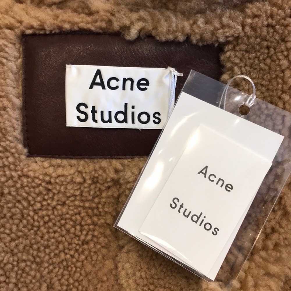 ACNE STUDIOS Lorin Hooded Leather Shearling Coat - Picture 13 of 16